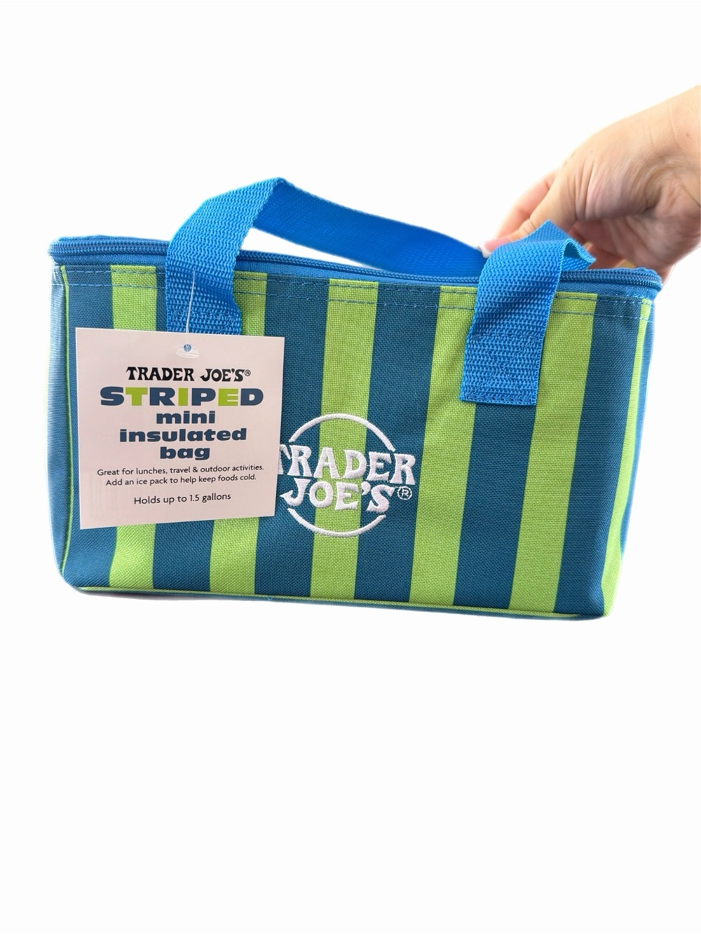 Trader Joe's Striped Mini Insulated Bag - Blue & Lime Green